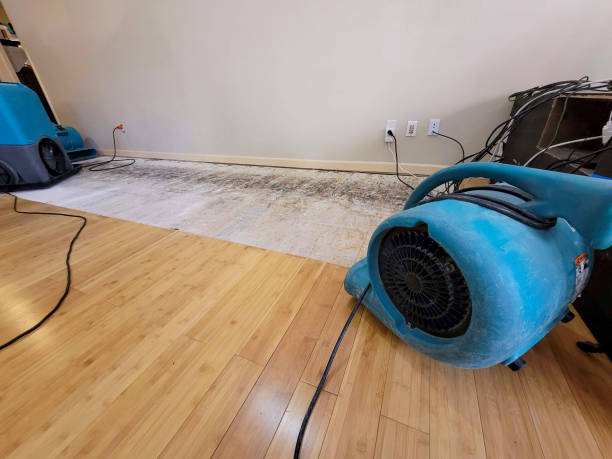 Professional Structural Drying technician working in Simpsonville, KY